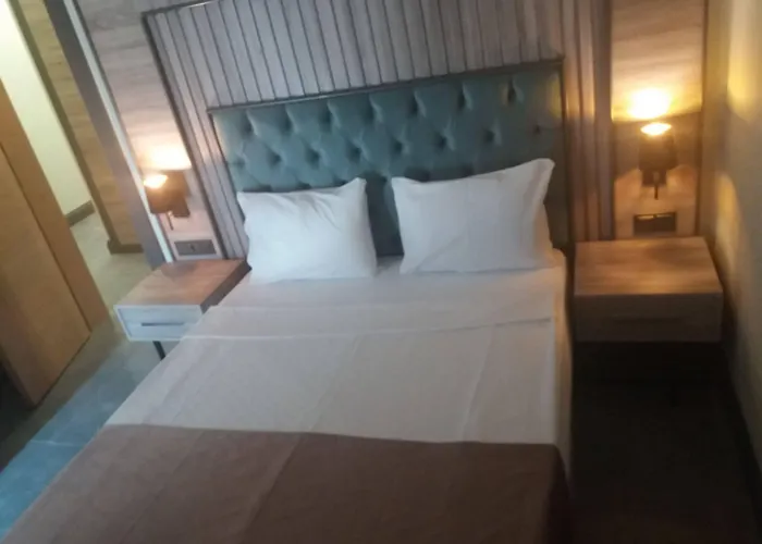 Отель Rodinn Park 3*